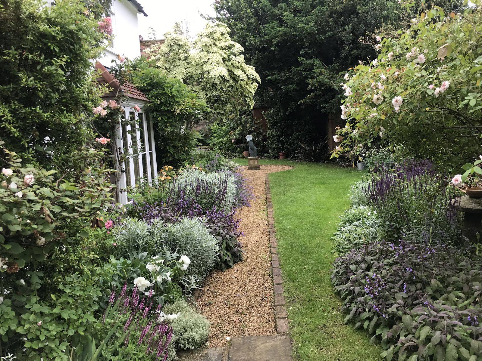 A gravel path curving between salvia, nepeta and climbing roses in a garden by Surrey Hills Garden Design