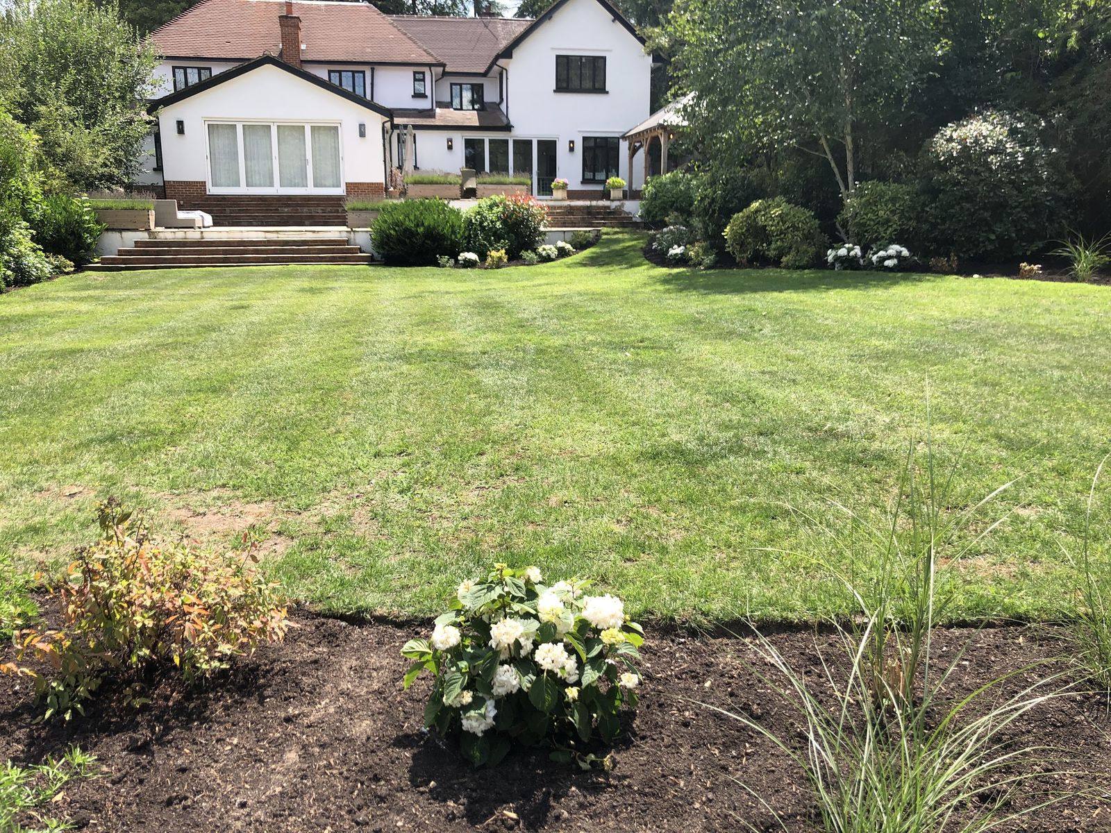 A large rear garden the week the planting went in — beds set out and mulched, hydrangeas and grasses at starting size, the structure already readable.