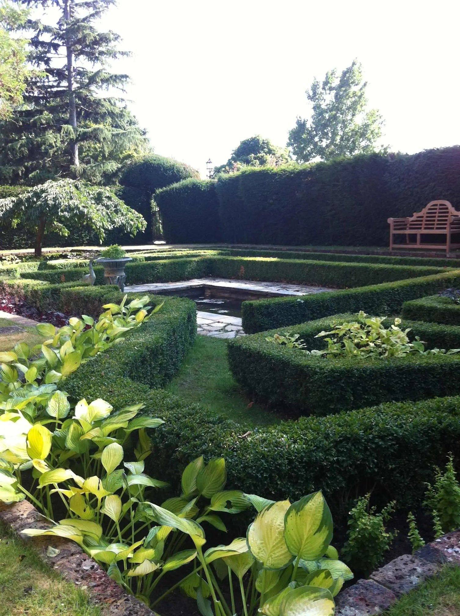 A clipped box parterre around a still pool, hostas at the front edge and a yew hedge closing the whole thing in.